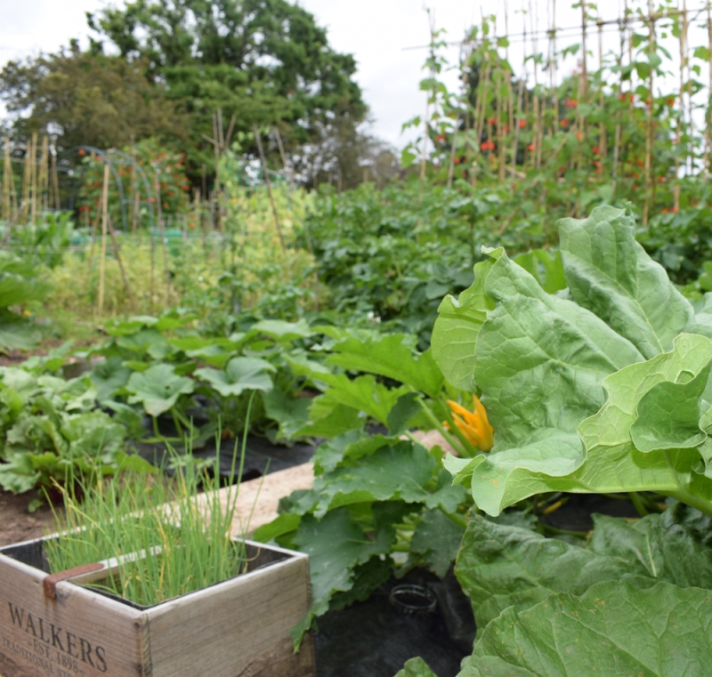 Nightingale Community Gardens